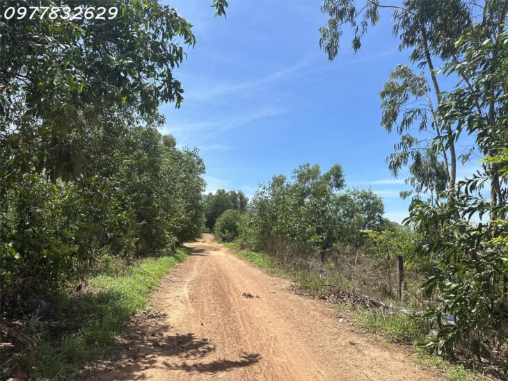 Bán đất ONT Đường Trần Thánh Tông – Tân Hải – TX laGi giá rẻ chỉ 795 triệu