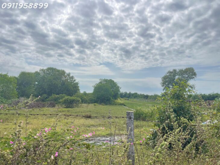 Bán gấp 42m x 100m đất Thổ cư Tân Bình, thị xã LaGi gần Biển giá rẻ nhất