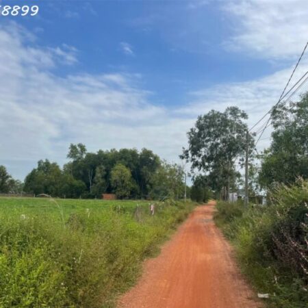 Bán gấp 42m x 100m đất Thổ cư Tân Bình, thị xã LaGi gần Biển giá rẻ nhất