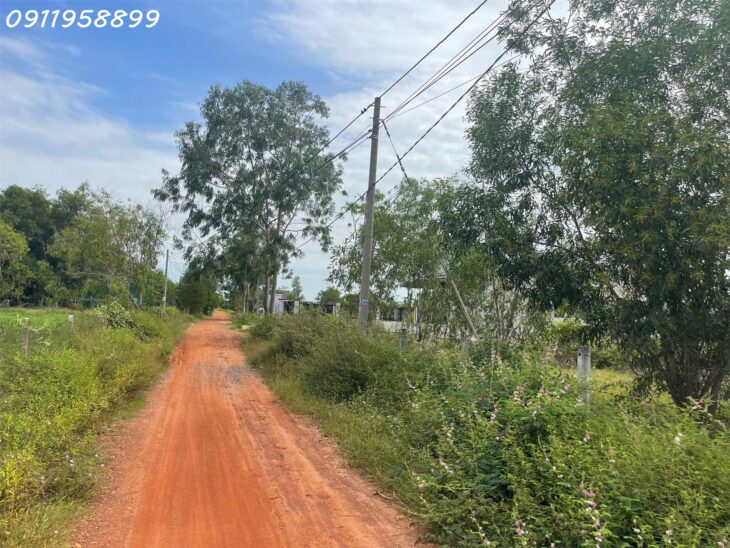 Bán gấp 42m x 100m đất Thổ cư Tân Bình, thị xã LaGi gần Biển giá rẻ nhất