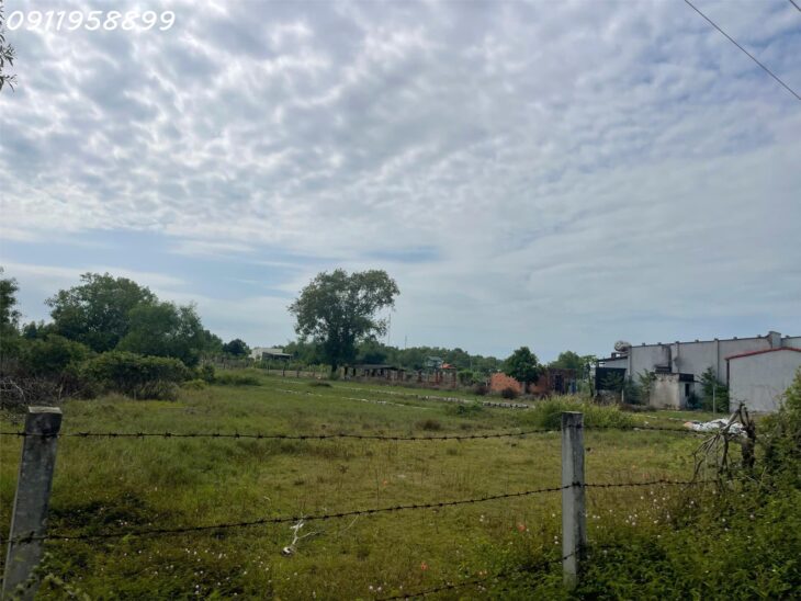 Bán gấp 42m x 100m đất Thổ cư Tân Bình, thị xã LaGi gần Biển giá rẻ nhất