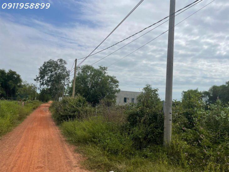 Bán gấp 42m x 100m đất Thổ cư Tân Bình, thị xã LaGi gần Biển giá rẻ nhất