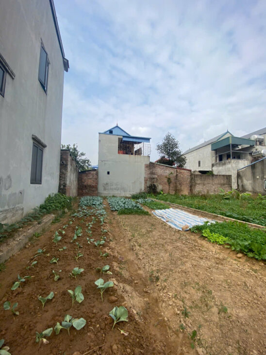 BÁN ĐẤT HƯƠNG ĐÌNH, MAI ĐÌNH, SÓC SƠN. 95M2, MT 5,95M. NỞ HẬU. GIÁ CHỈ 28TR/M.