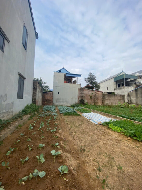 BÁN ĐẤT HƯƠNG ĐÌNH, MAI ĐÌNH, SÓC SƠN. 95M2, MT 5,95M. NỞ HẬU. GIÁ CHỈ 28TR/M.