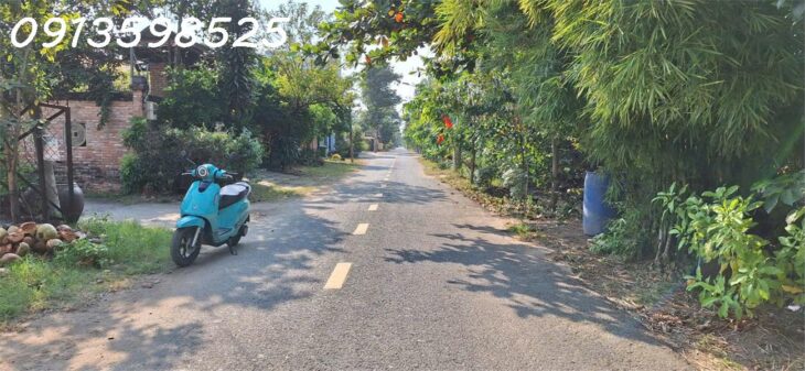 Cần tiền xly cv trước tết bán lỗ 1500 m2. giá 290tr đường 7m, có nhà nhỏ vườn cây trái.