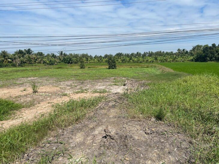 Cần bán đất nền tại ấp 10, xã Thuận Hưng, huyện Long Mỹ, tỉnh Hậu Giang (kế bên cầu Ba Phát). Giá: