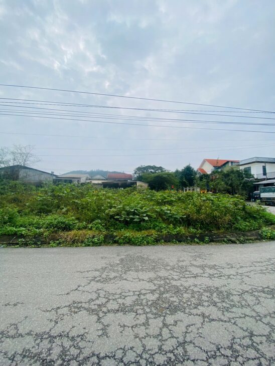 Bán lô góc 2 mặt tiền Trần Lư đường 19,5m KQH Xóm Hành, An Tây, Thành phố Huế