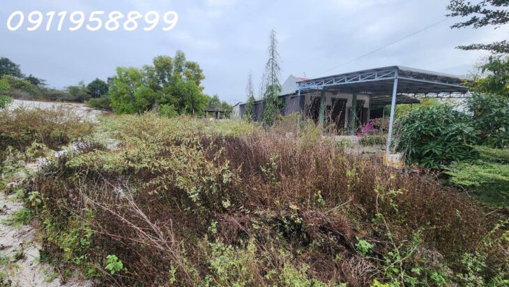 GIẢM SỐC CHỈ CÒN 1 TỶ LÔ ĐẤT 330m2 đất Lô 2 Ngô Tất Tố, Tân Phước, Thị xã LaGi gần Biển Cam bình