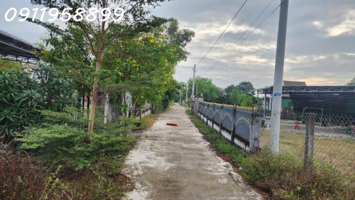 GIẢM SỐC CHỈ CÒN 1 TỶ LÔ ĐẤT 330m2 đất Lô 2 Ngô Tất Tố, Tân Phước, Thị xã LaGi gần Biển Cam bình