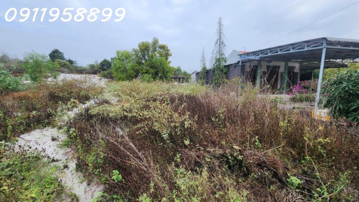 GIẢM SỐC CHỈ CÒN 1 TỶ LÔ ĐẤT 330m2 đất Lô 2 Ngô Tất Tố, Tân Phước, Thị xã LaGi gần Biển Cam bình