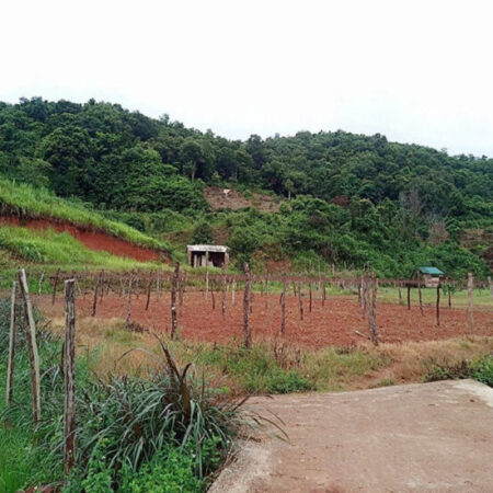 Đất nền Mộc Châu vị trí đẹp tiện kinh doanh giảm giá sâu. Phù hợp làm khu cắm trại.