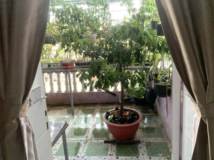 NHÀ MỚI đón tết, HXH, Giảm Chào 1.1, dTSD 113m2, Linh Chiểu, Thủ Đức, chỉ 6ty hơn