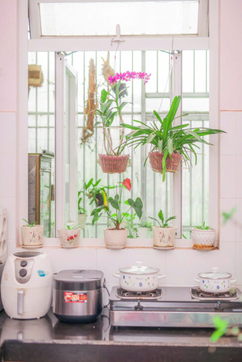 Cho thuê Nhà nguyên căn5 phòng ngủ Hai Bà Trưng-P7-Đà lạt