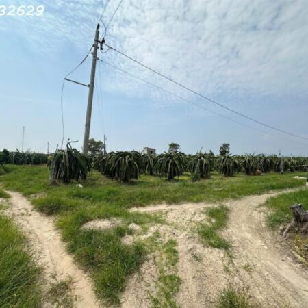 Bán gấp 145m x 84m đất ONT Lô 2 Lý Thái Tổ – Tân Tiến – TX LaGi gần Biển chỉ 1.5tr/m2