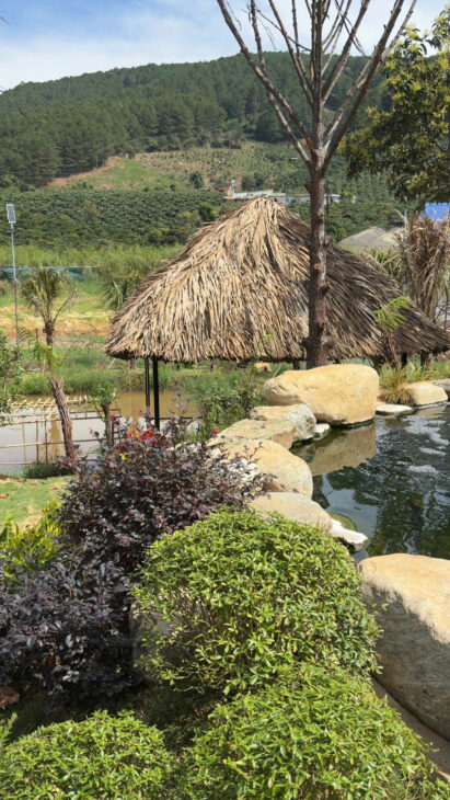 Bán Nhà vườn 1151m2 Xã Tà Nung-Đà Lạt