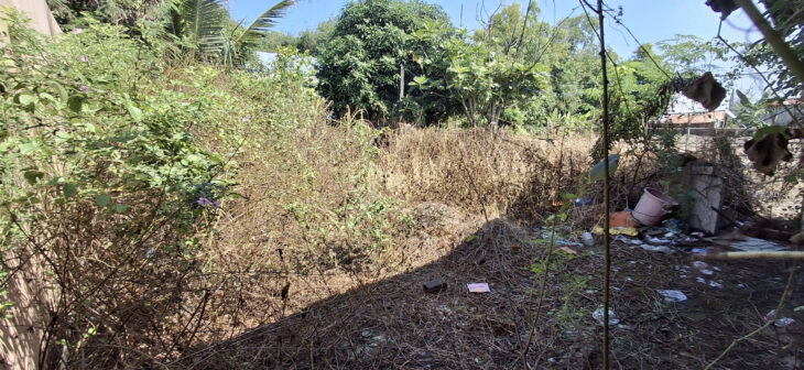 Bán gấp 280m2 đất MT đường xe tải ấp Đồng Tâm Long An, cách ngã 4 Xoài Đôi 900m, cách huyện Bình