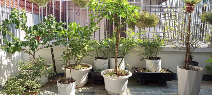 CẦN TIỀN BÁN GẤP NHÀ ĐỒNG MAI-HÀ ĐÔNG