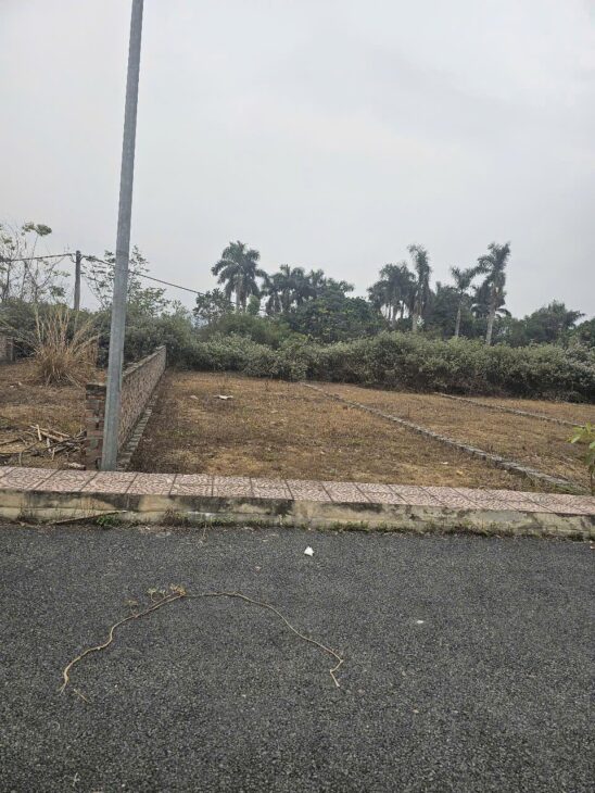 Bán đất đẹp giá rẻ Đông Yên Quốc Oai ôtô đỗ cửa thông 4 phía 2.5tỷ