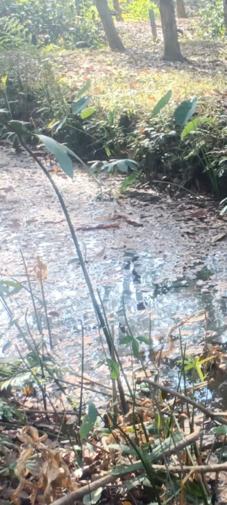 Bán Lô Đất tại Xã Bình Thắng, Huyện Bù Gia Mập, Tỉnh Bình Phước. Bán Lô Đất tại Xã Bình Thắng, Huyện Bù Gia Mập, Tỉnh Bình Phước.