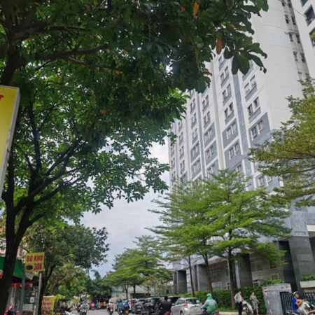 BÁN NHÀ GÒ VẤP, 60M2, 4 TẦNG, HẺM 6M, KHU PHÂN LÔ CAO CẤP.