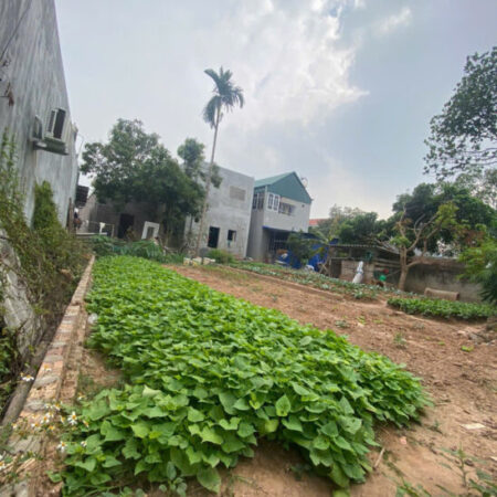SIÊU ĐẸP. 80M2, MT5,5M FULL THỔ CƯ. ĐƯỜNG THÔNG 4M. GIÁ ĐẦU TƯ HẤP DẪN