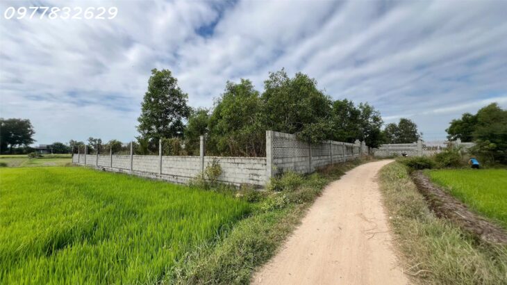 Bán đất ODT Phước Lộc – TX LaGi giá rẻ nhất chỉ 950 triệu, sổ riêng