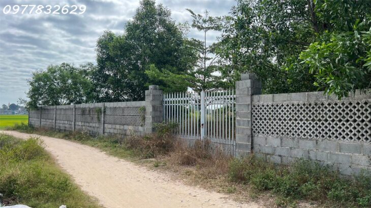 Bán đất ODT Phước Lộc – TX LaGi giá rẻ nhất chỉ 950 triệu, sổ riêng