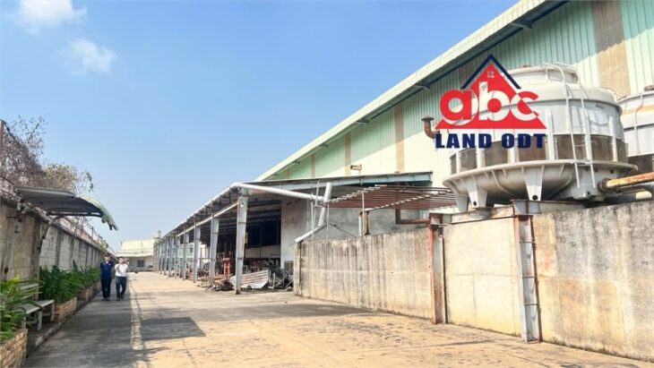 XT003 cho thuê xưởng sản xuất kết cấu kiên cố. có sẵn nhiều cầu trục phục vụ CN nặng