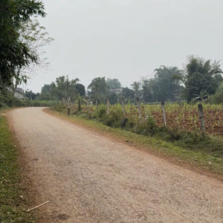 ĐẤT ĐẸP – GIÁ TỐT – Vị Trí Đắc Địa Tại Xóm Chuông, Xã Mỹ Hoà, Huyện Tân Lạc, Tỉnh Hoà Bình