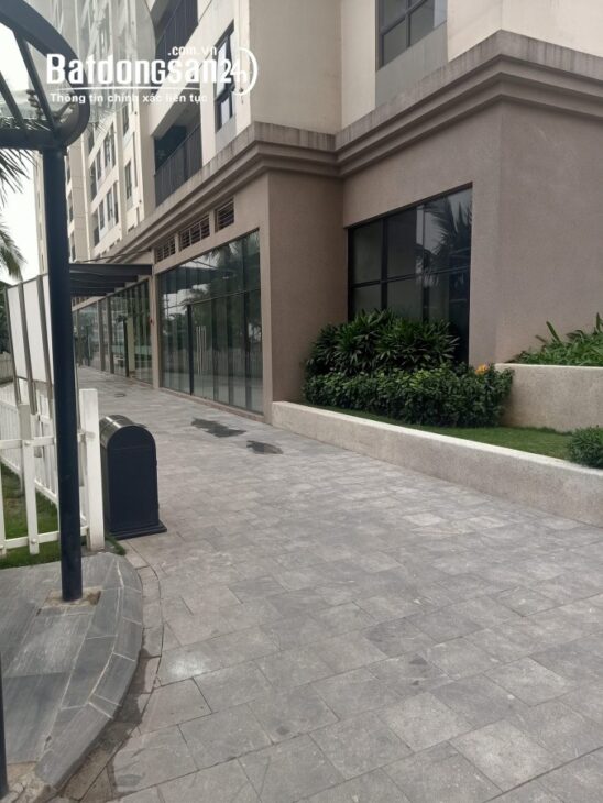 Chuyển nhượng Shophouse tòa CT8 Emerald Mỹ Đình Sông Đà đang cho thuê 80 triệu/tháng.