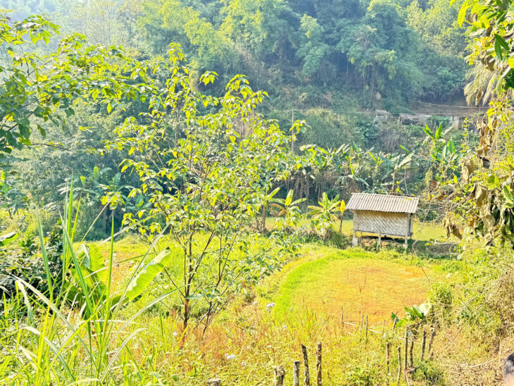 Siêu phẩm chữa lành yêu ngay từ cái nhìn đầu tiên tại xóm Vầy Ang Xã Vầy Nưa Đà Bắc Hoà Bình