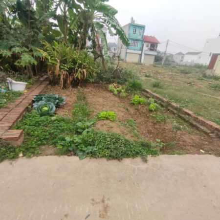 ????B.á.n đất tổ 10, TT Quang Minh, Mê Linh ????DT 61m2, MT4.2m, trục chính thông, ôtô vào đất