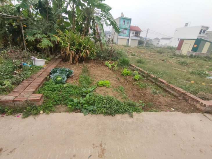 ????B.á.n đất tổ 10, TT Quang Minh, Mê Linh ????DT 61m2, MT4.2m, trục chính thông, ôtô vào đất