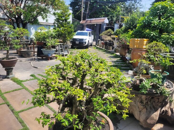 BÁN GẤP BIỆT THỰ 2 TẦNG 240M² MẶT TIỀN ĐƯỜNG TÂN HÒA, HIỆP PHÚ, THỦ ĐỨC, 20 TỶ TL