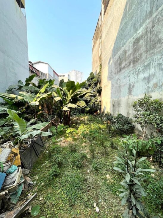 SIÊU HIẾM – CỔ NHUẾ – MT 5.3M – Ô TÔ