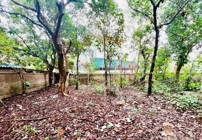 ĐẤT ĐẸP – GIÁ TỐT – Vị Trí Đắc Địa Tại Đường Lương Châu, Xã Tiên Dược, Huyện Sóc Sơn, Hà Nội