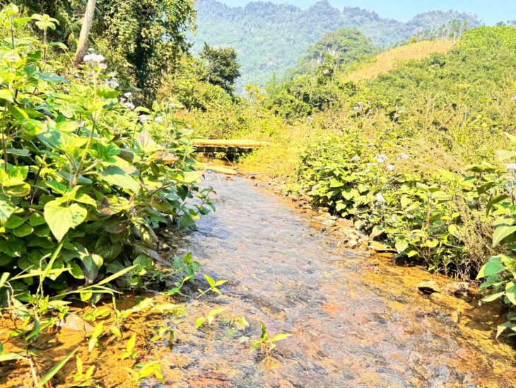 Siêu phẩm chữa lành yêu ngay từ cái nhìn đầu tiên tại xóm Vầy Ang Xã Vầy Nưa Đà Bắc Hoà Bình