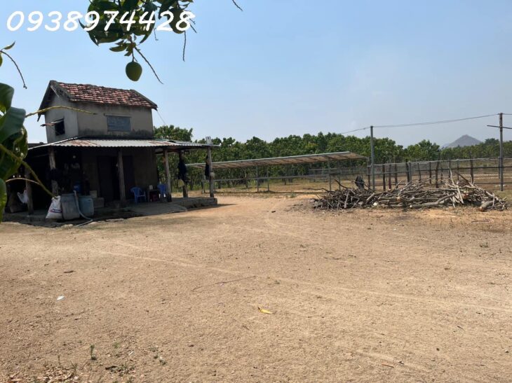 bán 14 ha. Đất tại xã Quãng Sơn – huyện Ninh Sơn. Ninh Thuận 0938974428