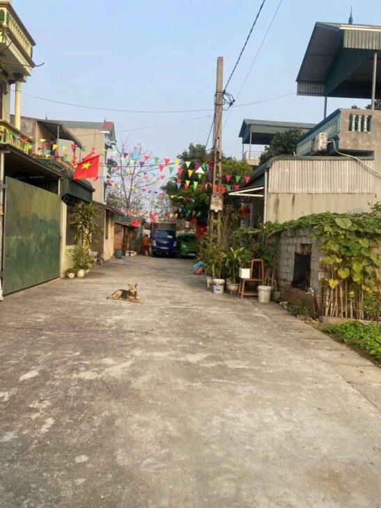 Em vẫn còn 1 em phân lô ck2, Xuân Sen, Thuỷ Xuân Tiên, Chương Mỹ HN . ????Dt 76m full thổ cư