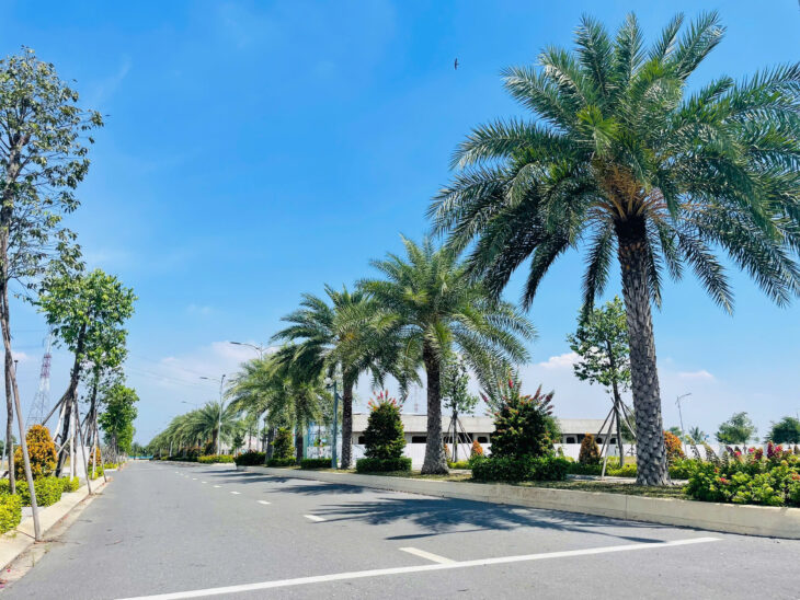 Bán gấp căn 51m2 – D-Homme Hồng Bàng, Quận 6 chỉ 3.55 tỷ (cam kết không phát sinh) – nhận nhà tháng