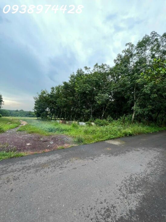 BÁN ĐẤT KHO BAI 1,8 ha SIÊU RẺ MẶT TIỀN ĐƯỜNG NHỰA XÃ AN VIỄN . TRẢNG BOM . 0938974428