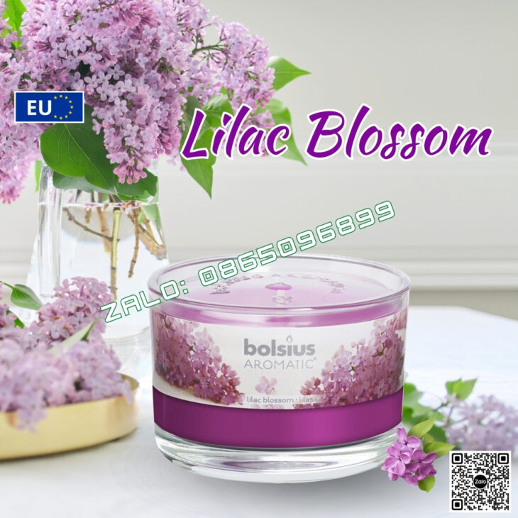 NẾN THƠM TINH DẦU BOLSIUS 155g, THƠM PHÒNG, HỖ TRỢ KHỬ MÙI, DECOR TRANG TRÍ, NHẬP KHẨU CHÂU ÂU