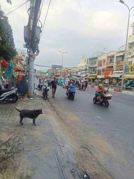Bán Nhà Mặt Tiền Đường Phạm Hùng, P.10, Q.8 – Diện Tích 5x21m – Giá 16,5 Tỷ