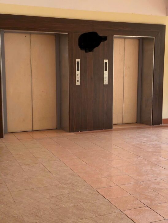 Phải thật nhanh không có căn thứ 2, căn hộ chung cư Đồng Tàu 54m2, 2 ngủ chỉ 2.9 tỷ SĐCC