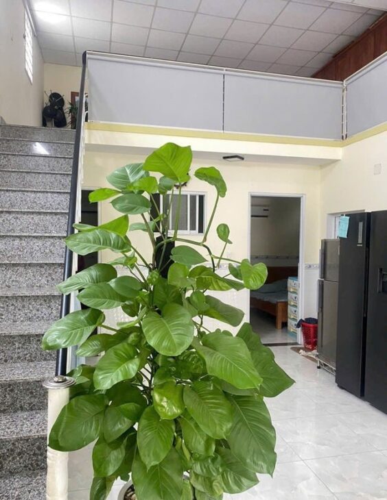 NHÀ C4 SẠCH ĐẸP, DT 82M2 (NGANG 6M), KIỆT TÔN ĐỨC THẮNG, GẦN BẾN XE – CHỈ HƠN 2 TỶ