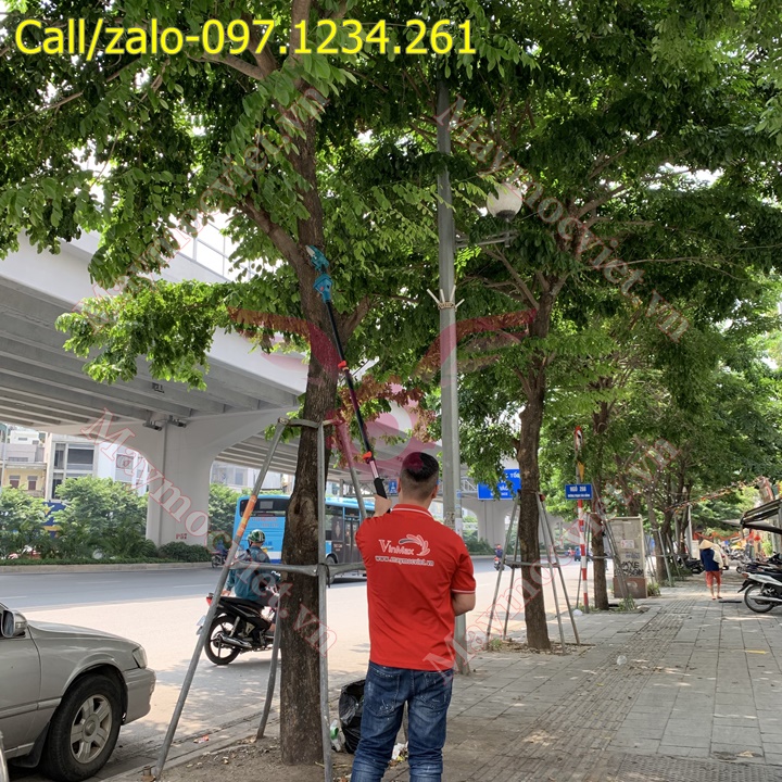 Máy cắt cành cao chạy pin Vinmax giá rẻ