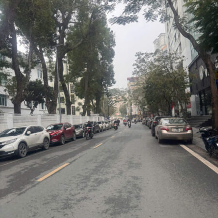 SIÊU PHẨM NHÀ KINH DOANH PHỐ LÊ ĐẠI HÀNH, 48M 15.5 TỶ