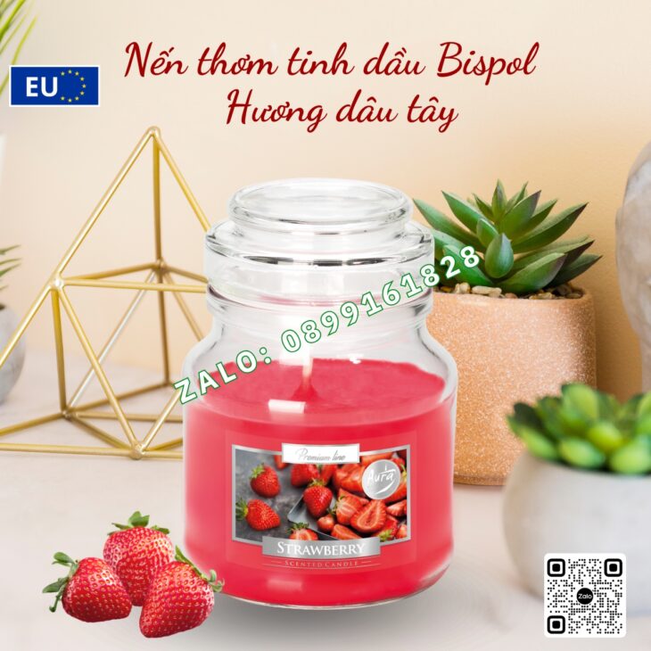 NẾN THƠM CAO CẤP NHẬP KHẨU BISPOL 120g, DECOR TRANG TRÍ, HỖ TRỢ KHỬ MÙI, QUÀ TẶNG Ý NGHĨA