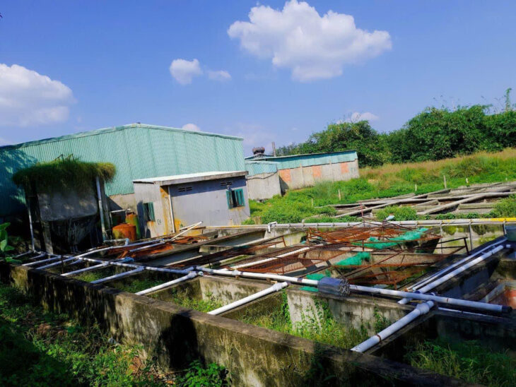 BÁN NHÀ MÁY SẢN XUẤT CAO SU ĐANG HOẠT ĐỘNG TẠI BÌNH PHƯỚC
