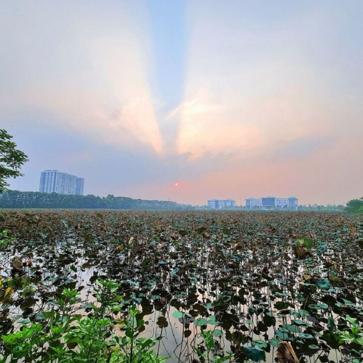 61m2 đất Tái định cư Trâu Quỳ, Gia Lâm, Hà Nội. Đường 13m đầu tư. Lh 0989894845